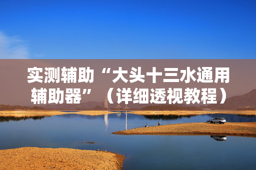 实测辅助“大头十三水通用辅助器”（详细透视教程）-哔哩哔哩