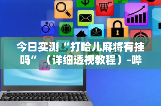 今日实测“打哈儿麻将有挂吗”（详细透视教程）-哔哩哔哩