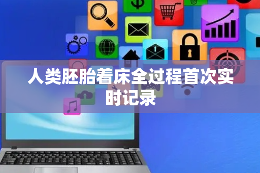 人类胚胎着床全过程首次实时记录
