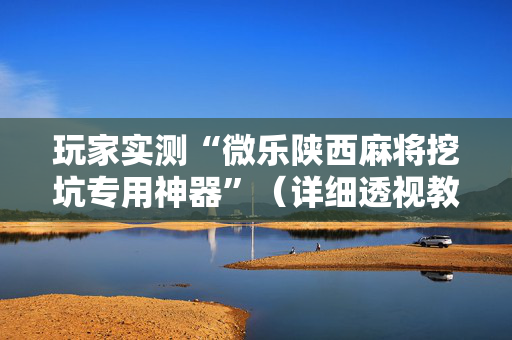 玩家实测“微乐陕西麻将挖坑专用神器”（详细透视教程）-哔哩哔哩