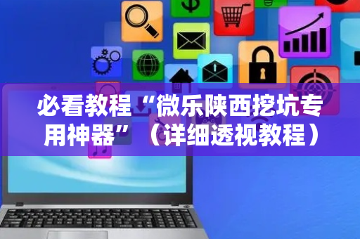 必看教程“微乐陕西挖坑专用神器”（详细透视教程）-哔哩哔哩