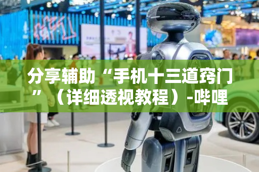 分享辅助“手机十三道窍门”（详细透视教程）-哔哩哔哩