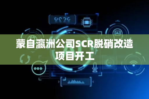 蒙自瀛洲公司SCR脱硝改造项目开工