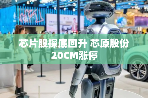 芯片股探底回升 芯原股份20CM涨停
