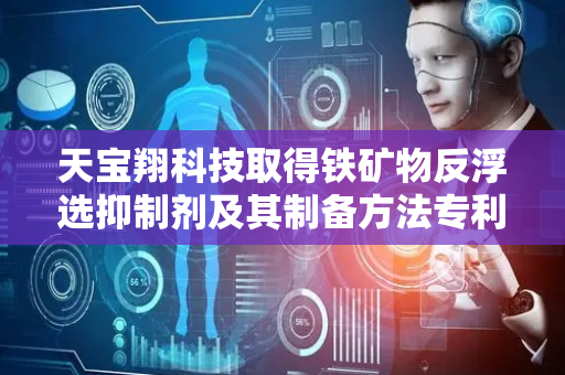 天宝翔科技取得铁矿物反浮选抑制剂及其制备方法专利