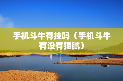 手机斗牛有挂吗（手机斗牛有没有猫腻）