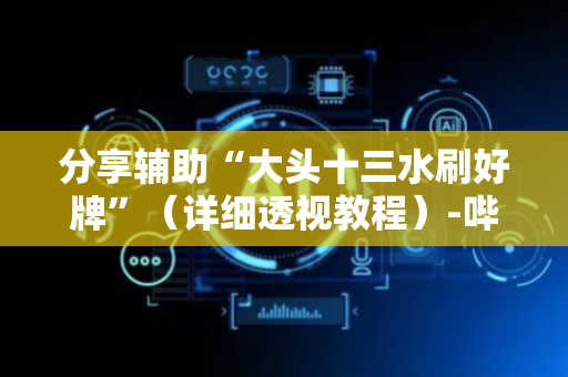 分享辅助“大头十三水刷好牌”（详细透视教程）-哔哩哔哩