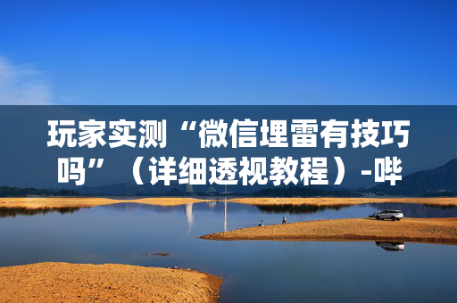 玩家实测“微信埋雷有技巧吗”（详细透视教程）-哔哩哔哩