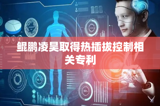 鲲鹏凌昊取得热插拔控制相关专利