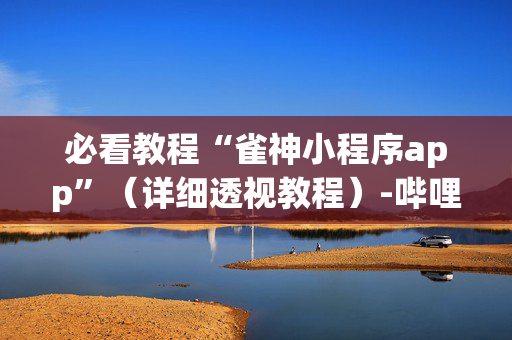 必看教程“雀神小程序app”（详细透视教程）-哔哩哔哩