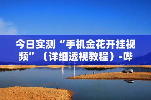 今日实测“手机金花开挂视频”（详细透视教程）-哔哩哔哩