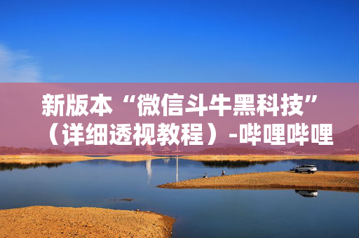 新版本“微信斗牛黑科技”（详细透视教程）-哔哩哔哩