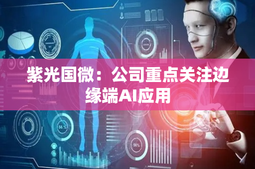 紫光国微：公司重点关注边缘端AI应用