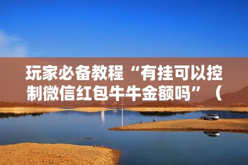 玩家必备教程“有挂可以控制微信红包牛牛金额吗”（详细透视教程）-哔哩哔哩