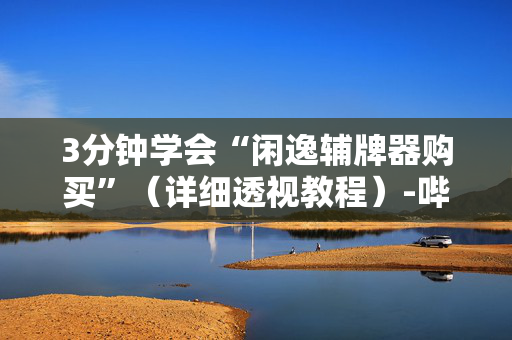 3分钟学会“闲逸辅牌器购买”（详细透视教程）-哔哩哔哩