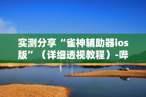 实测分享“雀神辅助器ios版”（详细透视教程）-哔哩哔哩