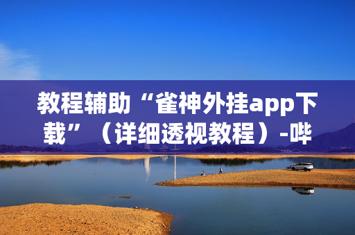 教程辅助“雀神外挂app下载”（详细透视教程）-哔哩哔哩