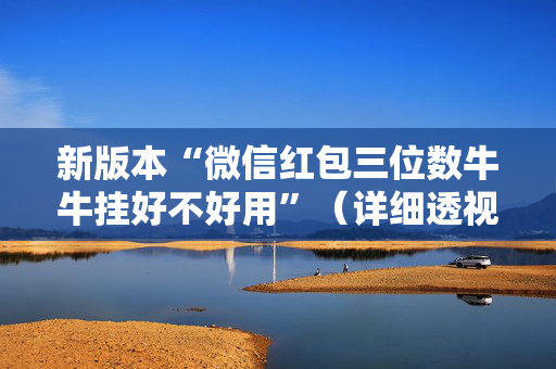 新版本“微信红包三位数牛牛挂好不好用”（详细透视教程）-哔哩哔哩