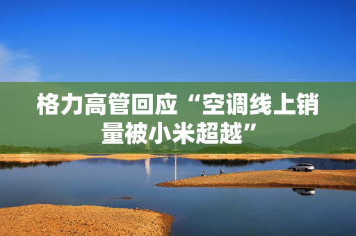 格力高管回应“空调线上销量被小米超越”