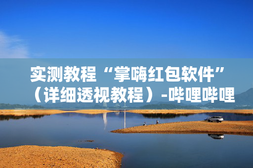 实测教程“掌嗨红包软件”（详细透视教程）-哔哩哔哩