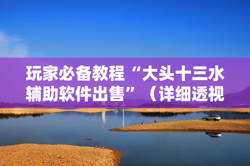 玩家必备教程“大头十三水辅助软件出售”（详细透视教程）-哔哩哔哩