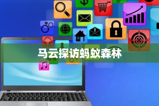马云探访蚂蚁森林