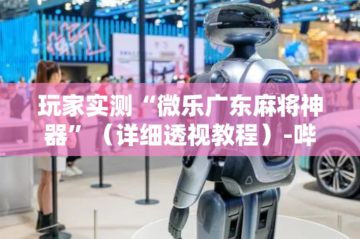 玩家实测“微乐广东麻将神器”（详细透视教程）-哔哩哔哩