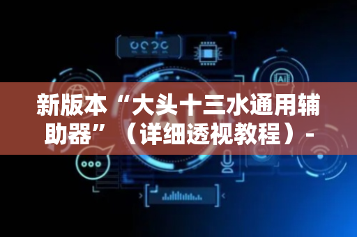 新版本“大头十三水通用辅助器”（详细透视教程）-哔哩哔哩