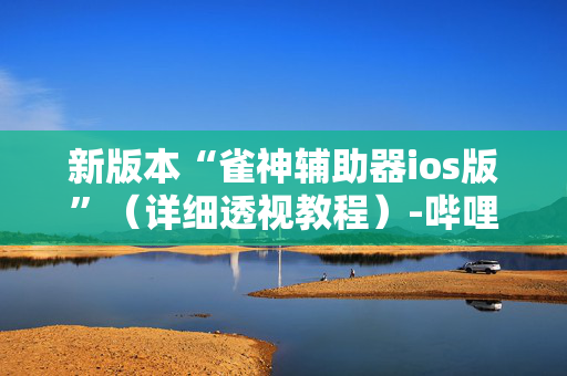 新版本“雀神辅助器ios版”（详细透视教程）-哔哩哔哩