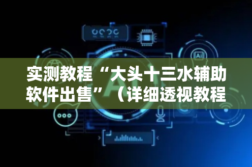 实测教程“大头十三水辅助软件出售”（详细透视教程）-哔哩哔哩