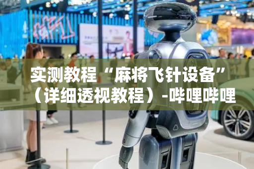 实测教程“麻将飞针设备”（详细透视教程）-哔哩哔哩