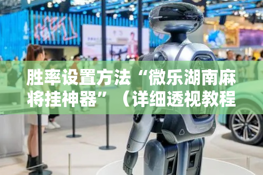 胜率设置方法“微乐湖南麻将挂神器”（详细透视教程）-哔哩哔哩