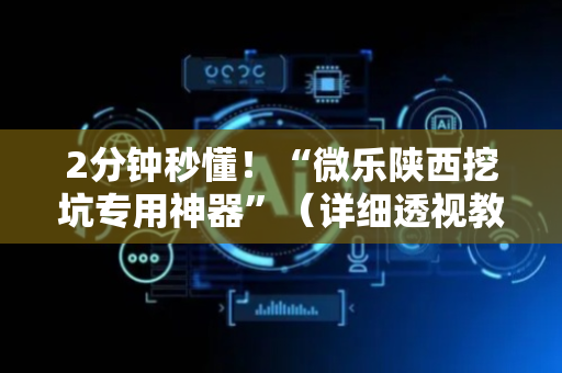 2分钟秒懂！“微乐陕西挖坑专用神器”（详细透视教程）-哔哩哔哩