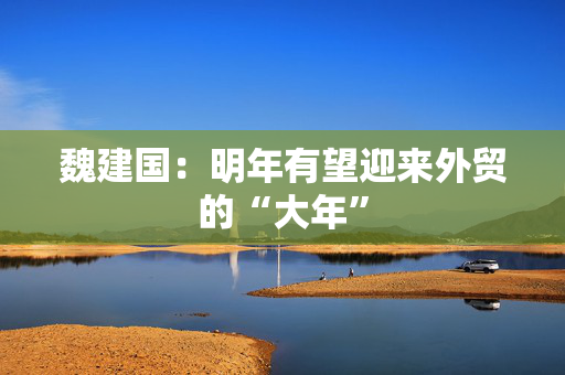 魏建国：明年有望迎来外贸的“大年”