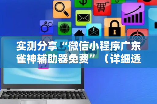 实测分享“微信小程序广东雀神辅助器免费”（详细透视教程）-哔哩哔哩