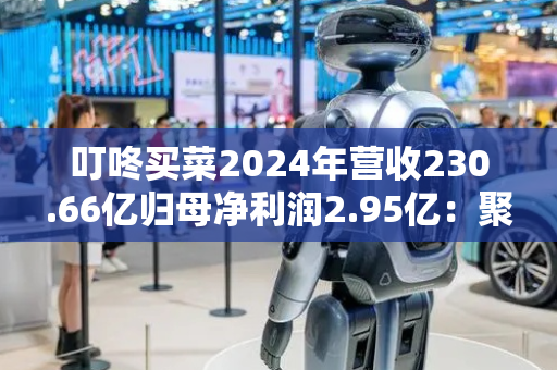 叮咚买菜2024年营收230.66亿归母净利润2.95亿：聚焦区域深耕与数字化转型
