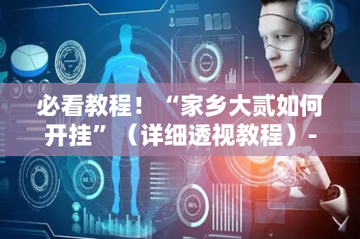 必看教程！“家乡大贰如何开挂”（详细透视教程）-哔哩哔哩