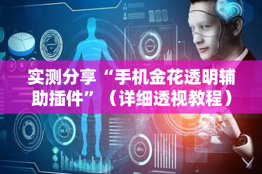 实测分享“手机金花透明辅助插件”（详细透视教程）-哔哩哔哩