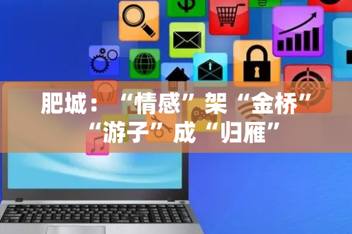 肥城：“情感”架“金桥” “游子”成“归雁”