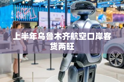 上半年乌鲁木齐航空口岸客货两旺