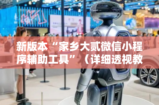 新版本“家乡大贰微信小程序辅助工具”（详细透视教程）-哔哩哔哩