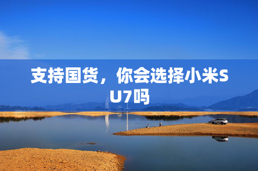支持国货，你会选择小米SU7吗