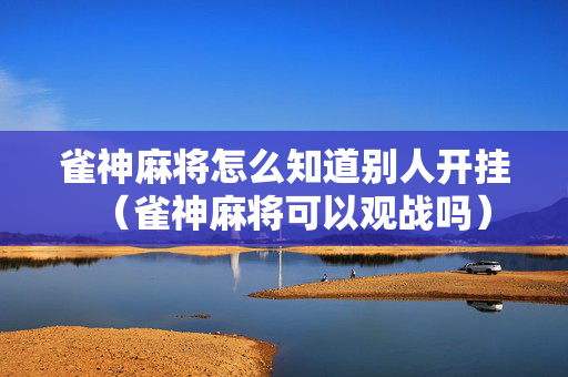 雀神麻将怎么知道别人开挂（雀神麻将可以观战吗）