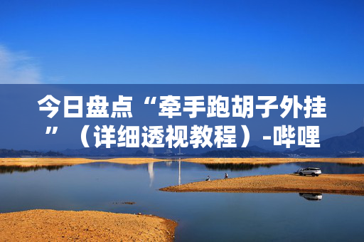 今日盘点“牵手跑胡子外挂”（详细透视教程）-哔哩哔哩