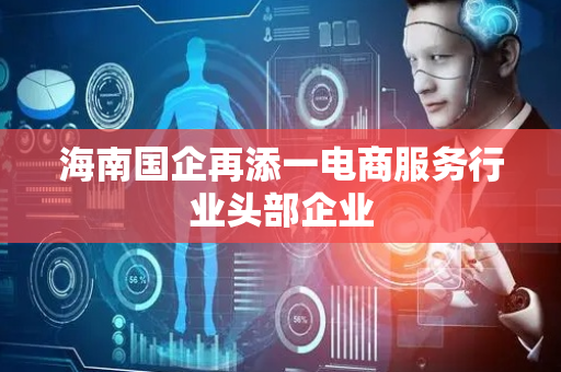 海南国企再添一电商服务行业头部企业