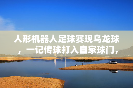 人形机器人足球赛现乌龙球 ，一记传球打入自家球门，网友：整活能力不输人类