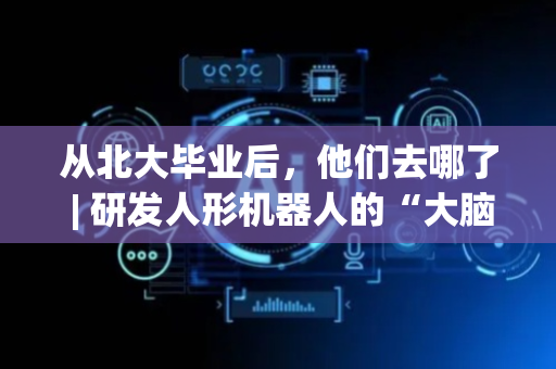 从北大毕业后，他们去哪了 | 研发人形机器人的“大脑”，拥抱人工智能浪潮