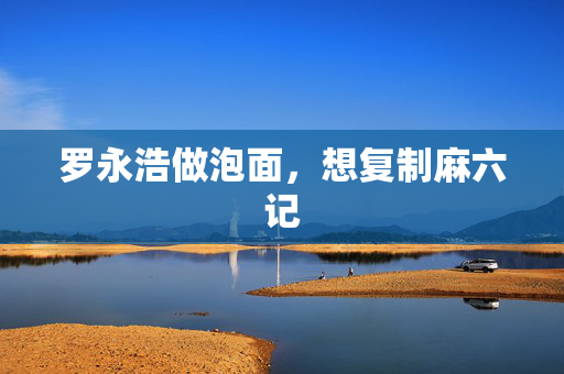 罗永浩做泡面，想复制麻六记