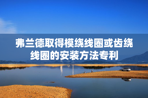 弗兰德取得模绕线圈或齿绕线圈的安装方法专利