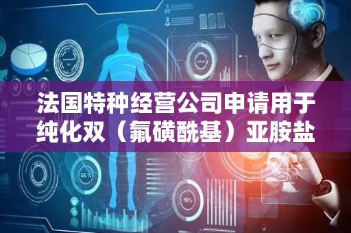 法国特种经营公司申请用于纯化双（氟磺酰基）亚胺盐的方法专利，涉及一种用于纯化双（氟磺酰基）亚胺盐溶液的方法